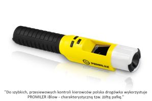 Mając ponad 3 promile obywatel Ukrainy rozbił samochód. Jazda pijanego kierowcy mogła skończyć się tragicznie