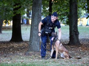 [VIDEO] Za nami dwa dni intensywnej pracy policjantów
